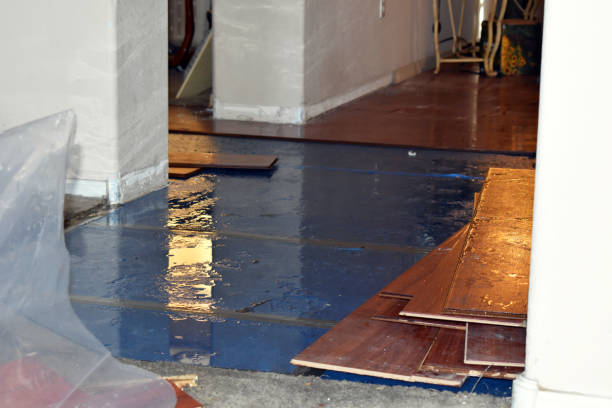 Professional Emergency Water Damage Restoration technician working in Zumbro Falls, MN
